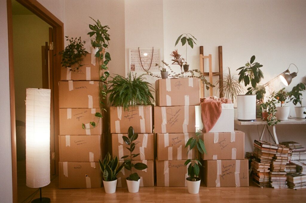 A room filled with lots of boxes and plants, moving house
